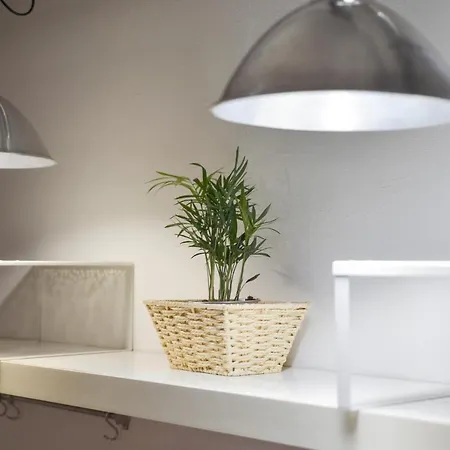 Apartment San Pierino